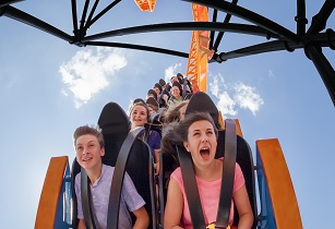 Tigris rollercoaster Busch Gardens Tampa Bay